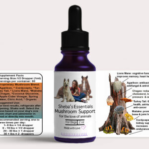 Mushroom Support Tincture for Dogs