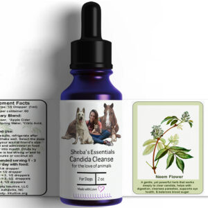 Candida Cleanse for Dogs