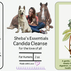 Candida Cleanse